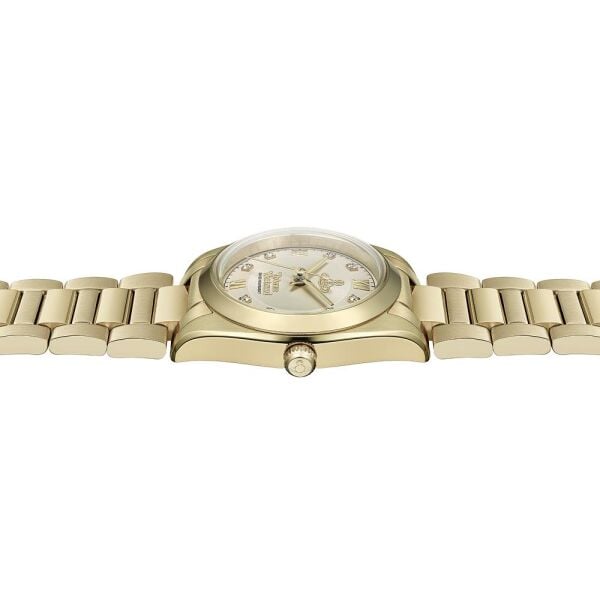 VIVIENNE WESTWOOD VV356LGYGD Kadın Kol Saati