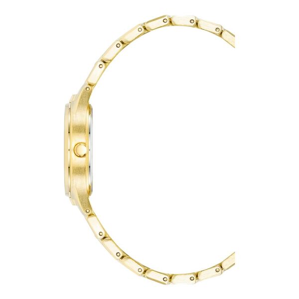 ANNE KLEIN AK-4060CHGB Kadın Kol Saati