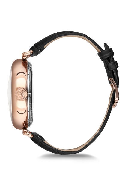 TM270R-16BR Erkek Kol Saati