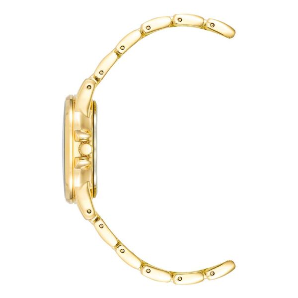 ANNE KLEIN AK-4132RQGB Kadın Kol Saati