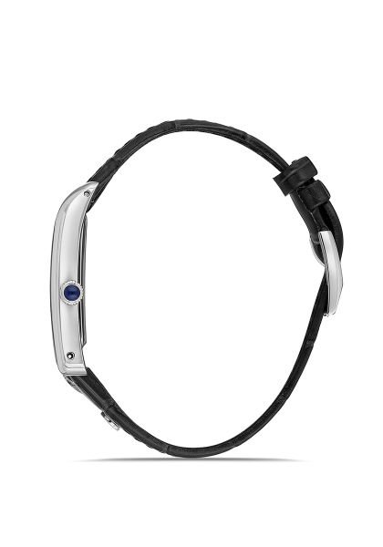 Momentus CM365S-02BS Erkek Kol Saati