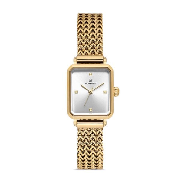 MOMENTUS CW320G-02SG