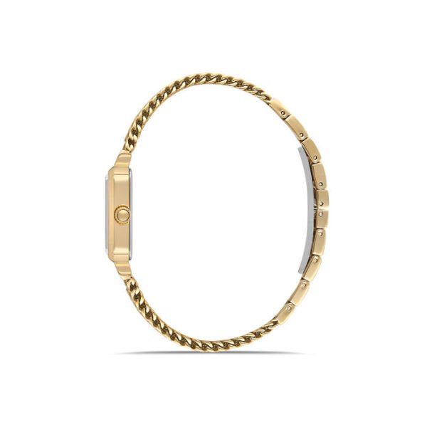 MOMENTUS CW320G-02SG