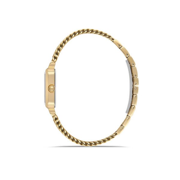 MOMENTUS CW320G-15SG