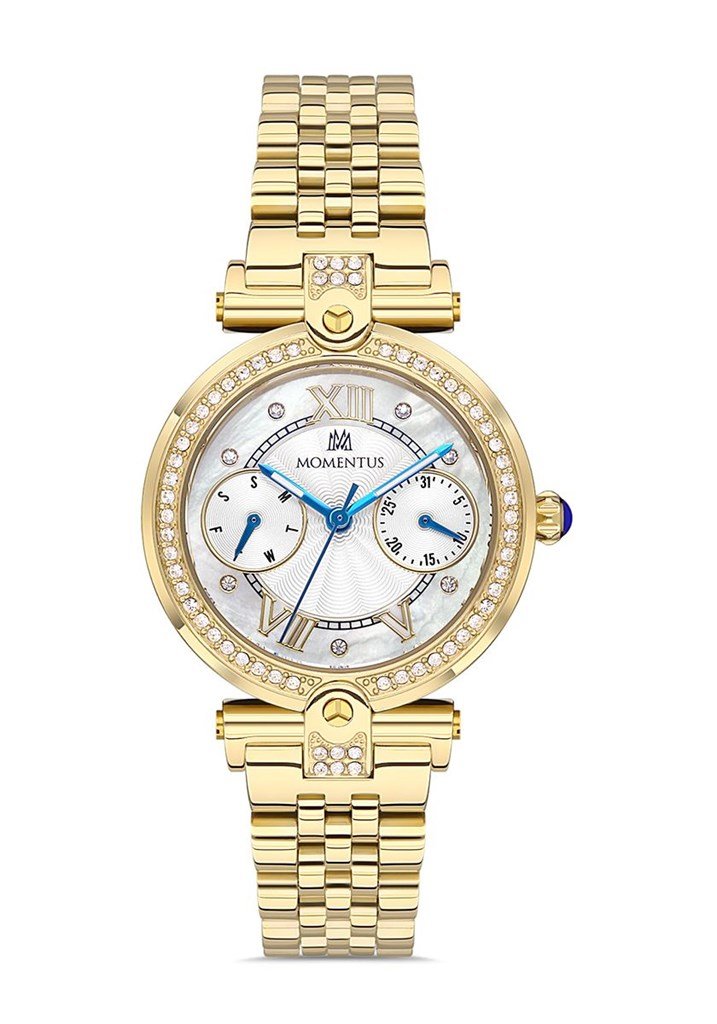 MOMENTUS SS246G-02SG