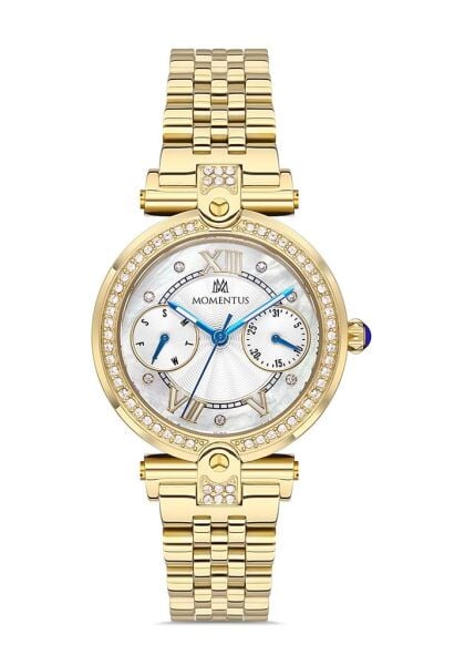 MOMENTUS SS246G-02SG