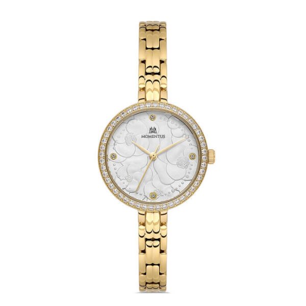 MOMENTUS SS405G-02SG