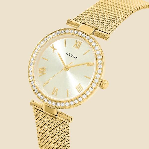CLYDA CLA805DDD Kadın Kol Saati