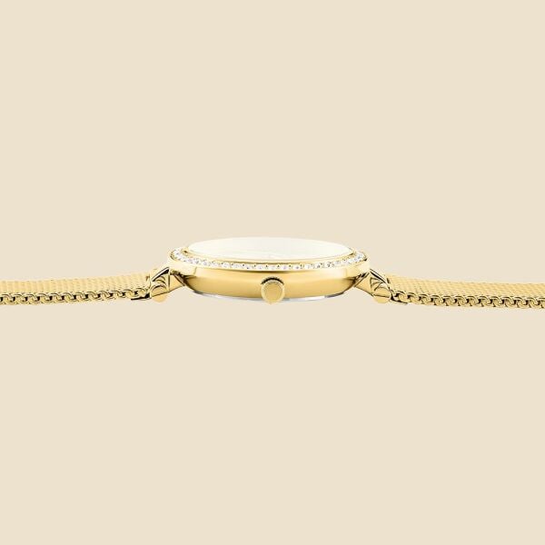 CLYDA CLA805DDD Kadın Kol Saati