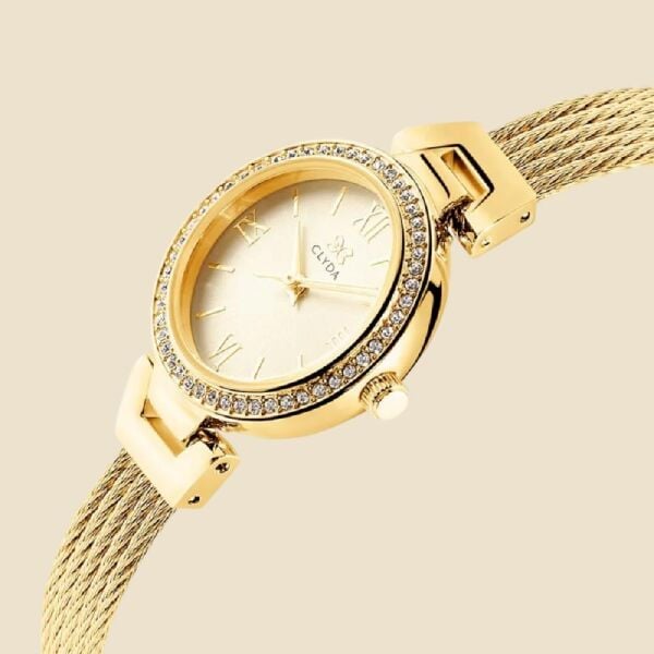 CLYDA CLA800DDD Kadın Kol Saati