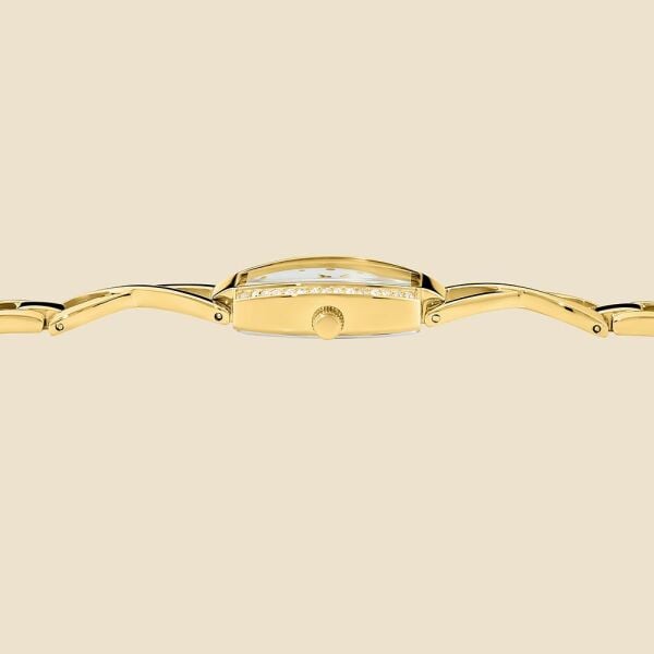 CLYDA CLA803DWD Kadın Kol Saati