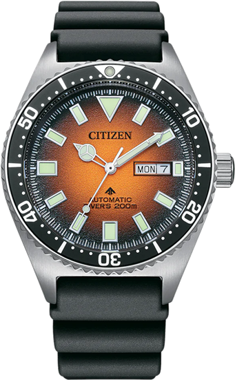 Citizen NY0120-01Z Erkek Kol Saati