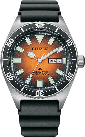 Citizen NY0120-01Z Erkek Kol Saati