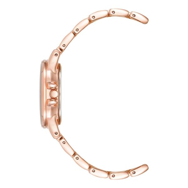 ANNE KLEIN AK-4132AVRG Kadın Kol Saati