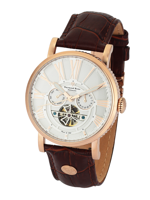 DAYMOND RENE DR 2014-07