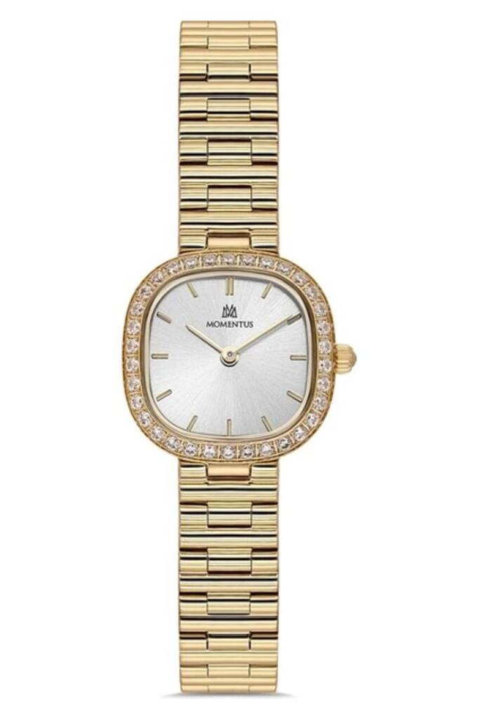 MOMENTUS SW296G-02SG