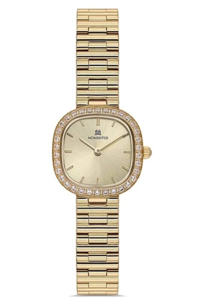 MOMENTUS SW296G-08SG