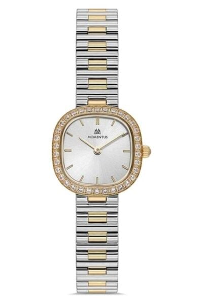 MOMENTUS SW296T-02SG