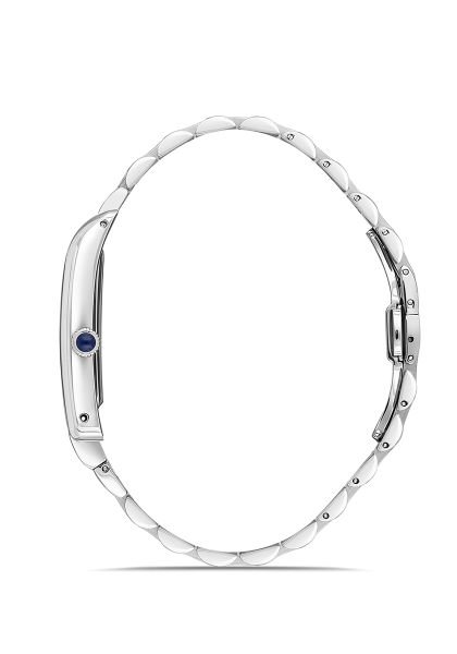 CM365S-02SS Erkek Kol Saati