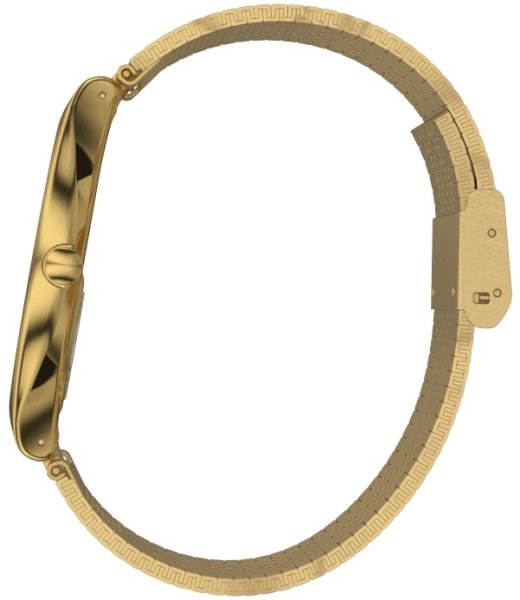 Swatch Skinlingot  SYXG100GG  Kol Saati