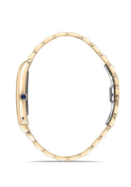 CM365G-02SG Erkek Kol Saati