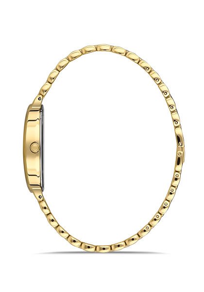 CW254G-02SG Kadın Kol Saati