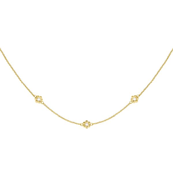 ROSEFIELD JNDFG.J672 Papatya Çiçekli Altın Renkli Çelik Kolye