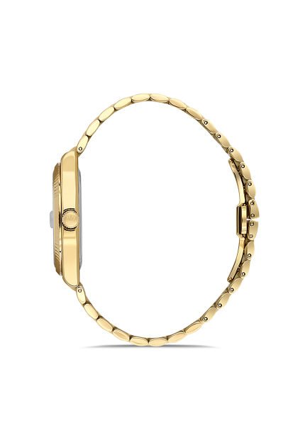 CM262G-02SG Erkek Kol Saati