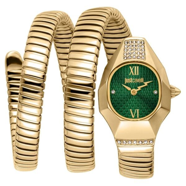 JUST CAVALLI JC1L397M0045 Kadın Kol Saati